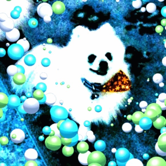 Meet your Posher, Lisa - Picture 1 of 1